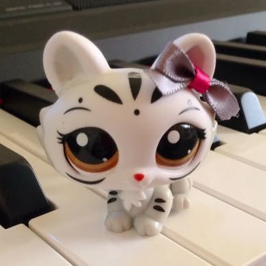 willgrahamlor's profile picture. @cutebunnylook