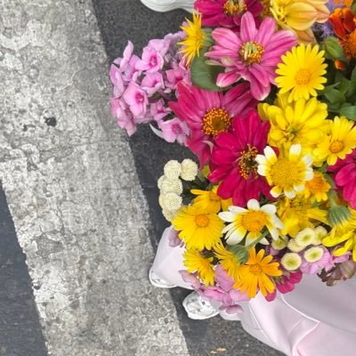 es20u's profile picture. 👩🏻‍💻🎀🍵