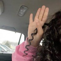zno (@znobtc) 's Twitter Profile