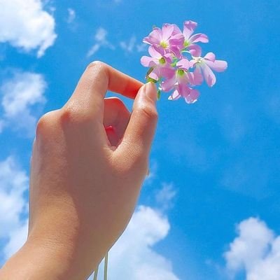 _tashaoda's profile picture. 