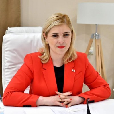 Permanent Representative of Georgia to the Council of Europe 🇬🇪 Member of 10th Convocation of the Parliament of Georgia
