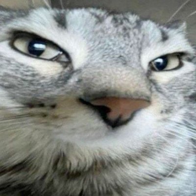 Gerisvaldoさんのプロフィール画像