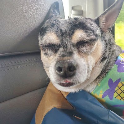 Terrance228116's profile picture. 