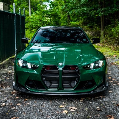 Rippy π¦π§² Profile