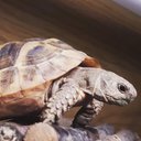 Sam Buckley - @SamBuckley91939 - Twitter