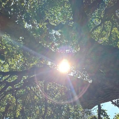 nanae7715's profile picture. 人形町にある小網神社をメインに時々参拝しています⛩️御朱印集めしてます⛩️無言フォロー失礼します、あとDM見ていませんので返信しないです、すみません💧私が好きなアクセサリー作家さんのEstelaさん、おすすめです😊✨犬、猫、動物が好きです😊綺麗な風景やお花に癒されてます✨最近いいねしても消えてます💧