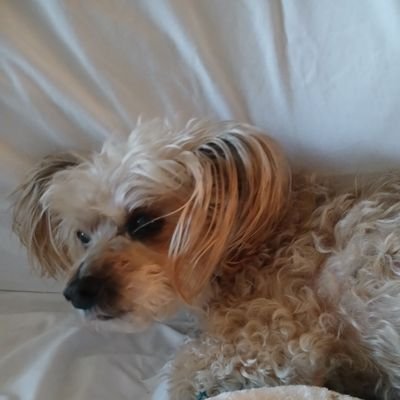 QueenLe27399681's profile picture. Made in America 🇺🇸