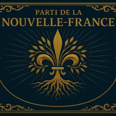 K45stef's profile picture. 