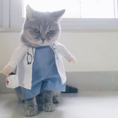 RN_wejdan7's profile picture. ﴿وَاجْعَل لِّي مِن لَّدُنكَ سُلطَانًا نَّصِيرًا﴾🤍.