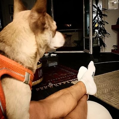 Baña perros por oficio, escritor por sin oficio.
https://t.co/5iD8lERr68…