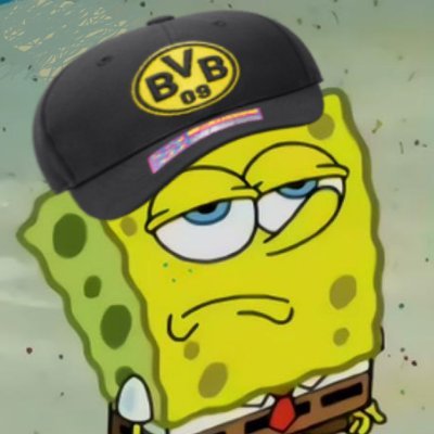 22 | BVB + NY teams (Yankees, Knicks, NYCFC) | Law student | Learning Spanish | #RepBX