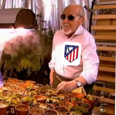 soy un tío chill hasta que me tocan los cojones
Aupa Atleti!!