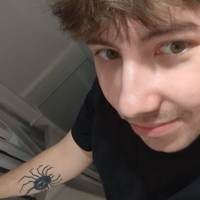 🇷🇴🇬🇧 22 | econ & marketing graduate | my posts are satire | ☦️