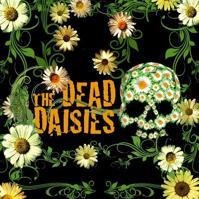 The Dead Daisies are a powerhouse rock band celebrated for their soulful, blues-infused sound and dazzling performances.