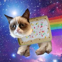 ĦĄŅĠ ØŪȚş: food 🥣, litter box, window 🪟 , my warm 🛏️ (my human is delusional that they think it’s theirs), & sunbeams #CatsAreKing 🐈⬛
🍉 🚫War🚫🍉