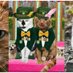 Kevin&Smudge (@kevinandsmudge) Twitter profile photo Kevin&Smudge (@kevinandsmudge) Twitter profile photo