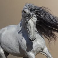 had (@hady_bdy) Twitter profile photo