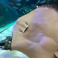 ひぃ (@j96yosbarr98102) Twitter profile photo