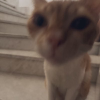 444