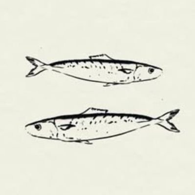 bluevibes_ri's profile picture. 