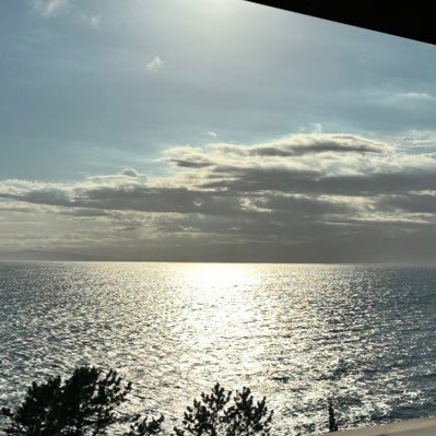 Tattun_6936's profile picture. 