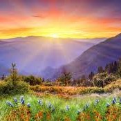 FantanD72199's profile picture. Chaque jour est une nouvelle chance