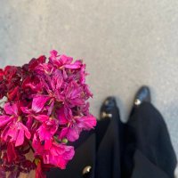 🇹🇷 (@qelifozbey) 's Twitter Profile