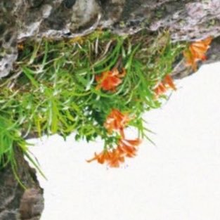 18歳発症 → 現在41歳🚹毒親育ち。反面教師にして、私は誠実に生きると思う日々。卑怯者は許さない『罪人を庇う役所』『その罪人の卑怯さを指摘した私を罪人だ!とする役所』との戦いの日々。 今もなお23年の精神障害と共に歩んいる日常『苦しみ😖・葛藤😖・苦悩😔・翻弄😰・裏切り😢・差別💢』などを綴る。✍️ 🛤️