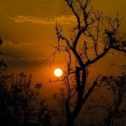 MintAminat41250's profile picture. Toujours en quête de lumière.