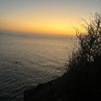 Le soupier (@lsoupier) 's Twitter Profile