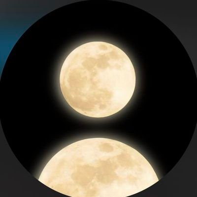 sadecevirgul's profile picture. 