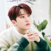 πππ²π©π β ΦΆΦΈΦ’. VIU O SKZ (@aluapyats) 's Twitter Profile