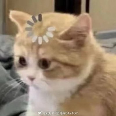 @gnxcn