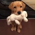 puppy nsfwtwt (@perverted69134) Twitter profile photo puppy nsfwtwt (@perverted69134) Twitter profile photo