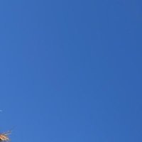 Tomas (@thomas_kurts) 's Twitter Profile