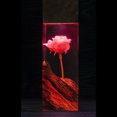 TABLELAMP_____0's profile picture. 