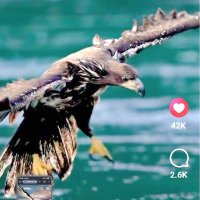 @Josh10. STATION :: 2 :: (@joshua10baxe2) 's Twitter Profile Photo