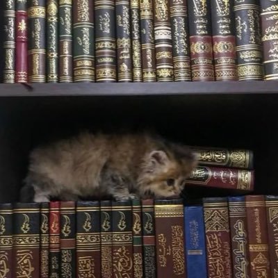 ﴿رَبِّ اغفِر وَارحَم وَأَنتَ خَيرُ الرّاحِمينَ﴾ | شريعيـّة | ﷺ.