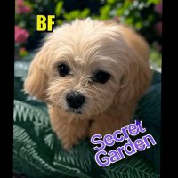 maku🐢📦 (@maku11110508) 's Twitter Profile Photo