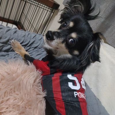 gyouzawan's profile picture. いぬと🦉❤️️🖤

勝手にフォローすみません🙇‍♀️🙇‍♀️