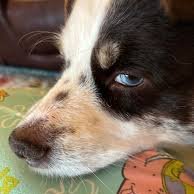 nova31990's profile picture. Here to tell it like it is. Let’s have intelligent conversation.