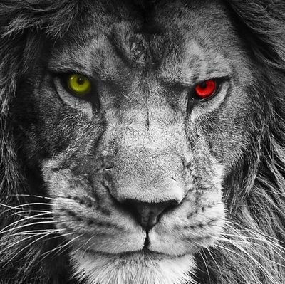 bestpeac35's profile picture. 