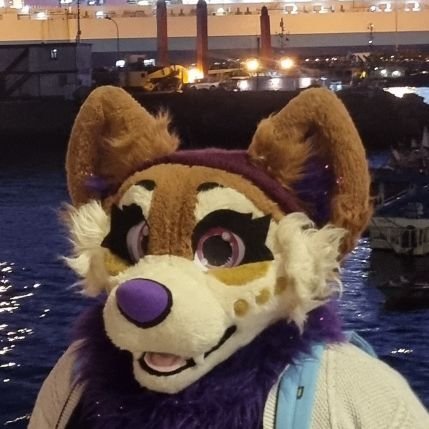 Renard1735's profile picture. The Same Mango Mochi || 24 || MX at SF 🏙 || VP CR ||