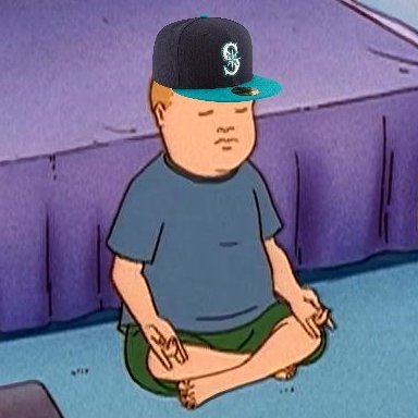 Go Canucks Go, Let's Go Mariners, Let's Go Hornets, COYS, Go Hawks, Bills Mafia. Follow for Sports-related Nonsense