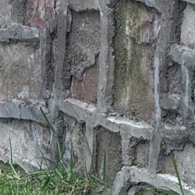 Ronney626592's profile picture. 