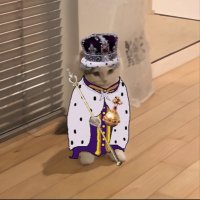 Prometheus.5mbk (@web3prometheus) 's Twitter Profile