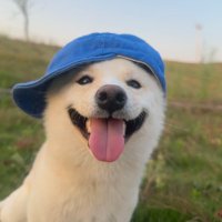 Lucy (@18armytyler) 's Twitter Profile