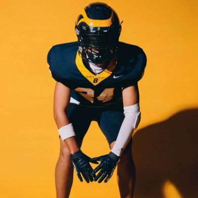 AnthonyGilray's profile picture. Buckhorn High School / c/o 2028 / CB / 📞256-652-9490 / 5’11, 165lbs