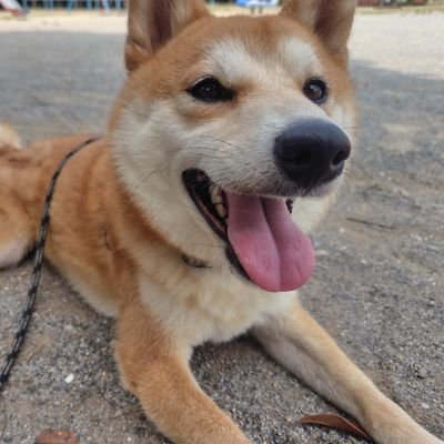 bTUeKE6bWy43440's profile picture. 