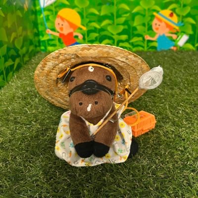 社会人 / ウマ関連の日常垢 / 最近馬の写真も撮り始めました / 最推し→メジロマックイーン / 推しは増えるばかりです / 栗毛